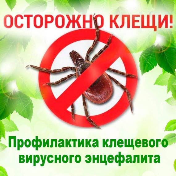 О работе «горячей линии» по вопросам профилактики клещевого вирусного энцефалита.